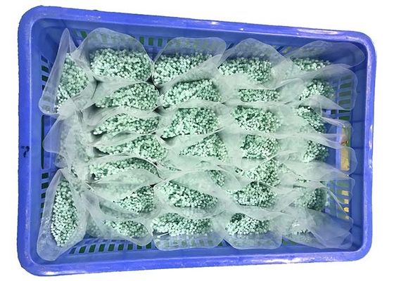 comprar ALCANCE o leve verde as cintas plásticas de nylon de 120 graus 2.5mm online manufacture